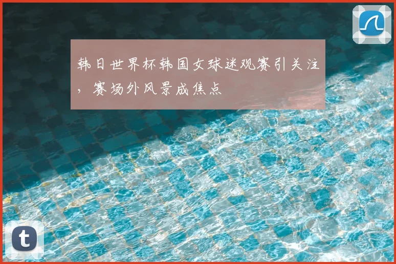 韩日世界杯韩国女球迷观赛引关注，赛场外风景成焦点