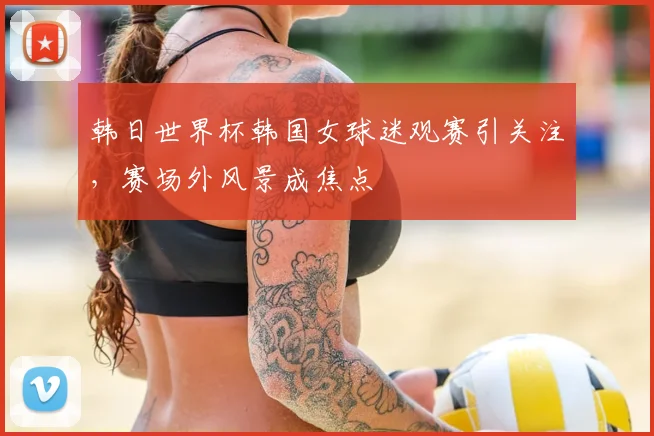 韩日世界杯韩国女球迷观赛引关注，赛场外风景成焦点